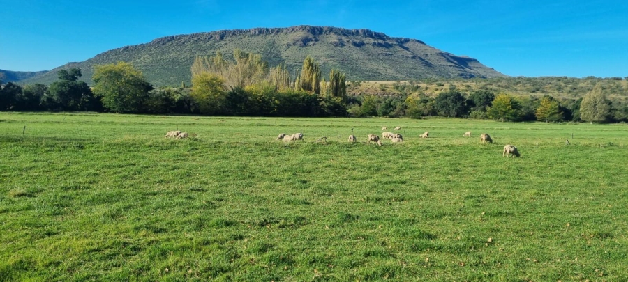 4 Bedroom Property for Sale in Queenstown Rural Eastern Cape